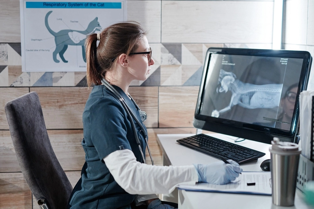 Equipe VetEvo - Especialistas em tecnologia para clínicas veterinárias